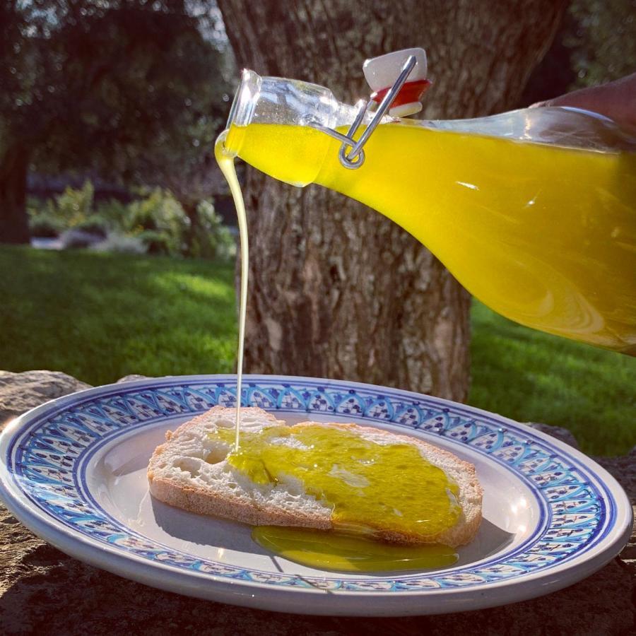Villa Moresca Dei Trulli Fernando Ostuni Dış mekan fotoğraf