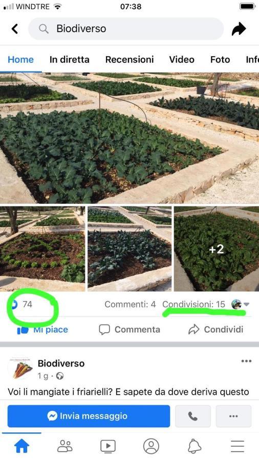 Villa Moresca Dei Trulli Fernando Ostuni Dış mekan fotoğraf